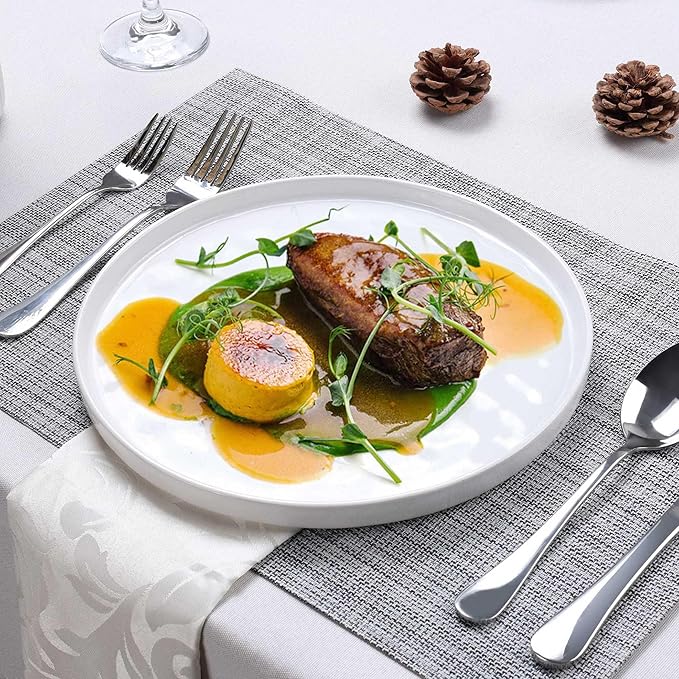 LIANYU Ceramic Plates Set for 4, 10.2In Porcelain Dinner Salad Appetizer Plates for Kitchen, Modern Round Stoneware Dining Dish Set, Scratch Resistant, Microwave, Oven and Dishwasher Safe, Polar White