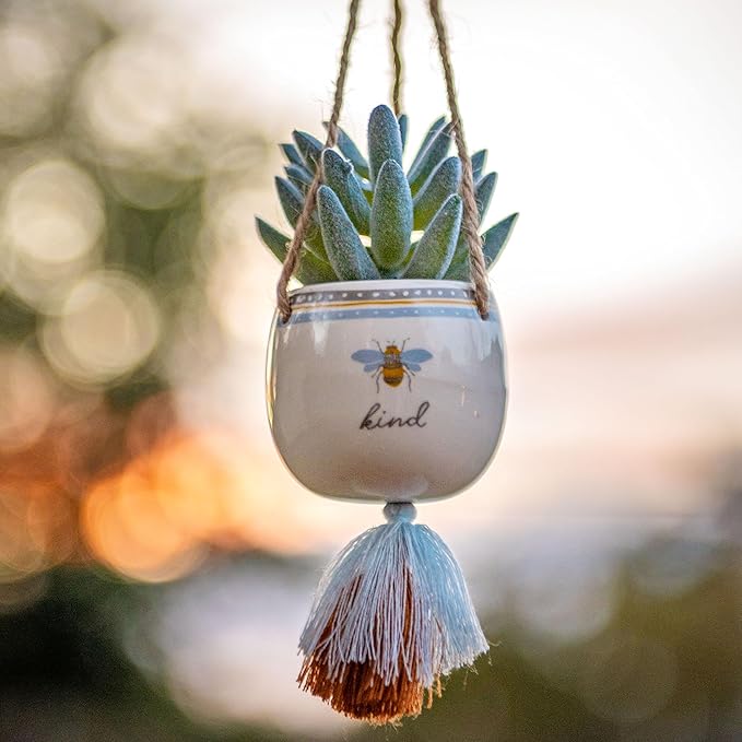 Karma Shaped Hanging Succulent Pot Camper